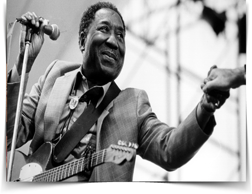 Muddy Waters