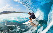 Surfing The Ocean