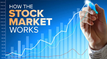 The Stock Market